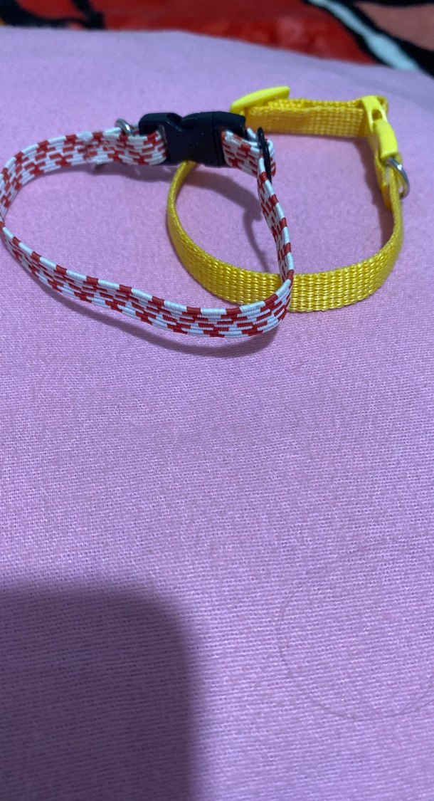 Renkli Ayarlanabilir Kedi Boyun Tasması - Görsel 2