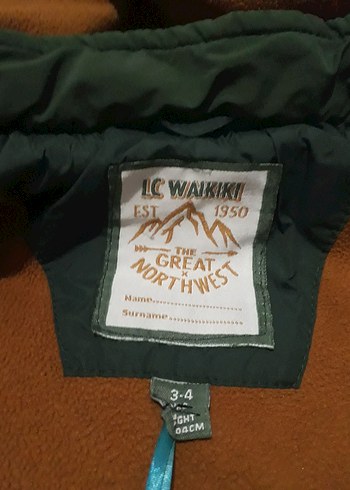 Erkek Çocuk Yeşil Kapüşonlu Mont - Görsel 2