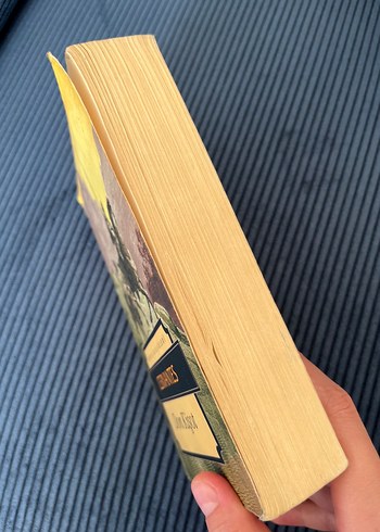 Don Kişot - Cervantes - Görsel 3