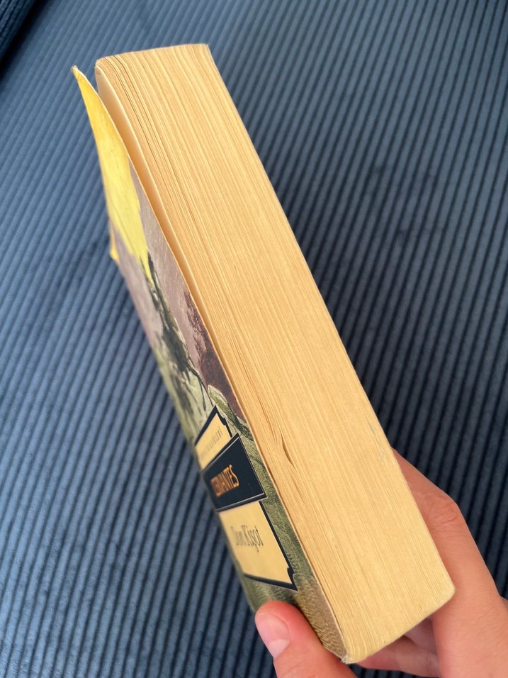 Don Kişot - Cervantes - Görsel 3