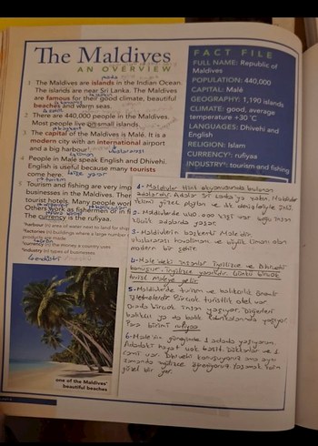 Temel seviye için Reading, Writing & Critical Thinking Cambridge - Görsel 7