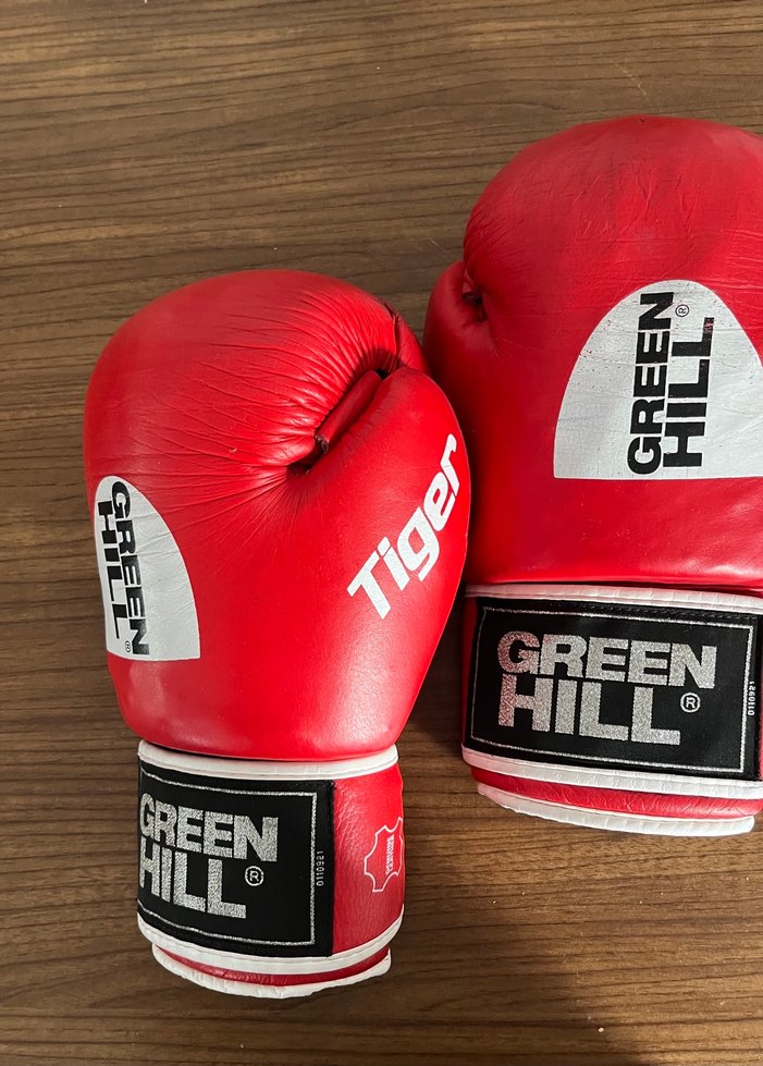 Green Hıll İba onaylı Deri Boks Eldiveni - Görsel 2