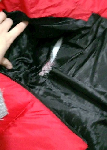 Kırmızı Fermuarlı  Kışlık Mont - Görsel 4