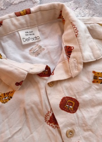 Uzun Kollu Düğmeli Erkek cocuk - Görsel 4