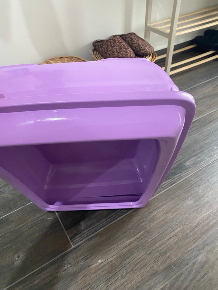 Pastel Mor Kedi Tuvalet Kabı - Görsel 3