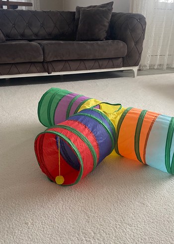 Renkli Kedi Oyun Tüneli