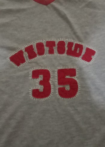 Gri V Yaka Erkek Spor Tişörtü - Görsel 4