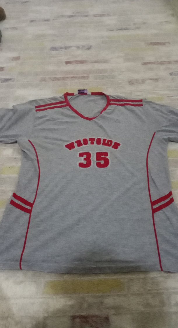 Gri V Yaka Erkek Spor Tişörtü - Görsel 3