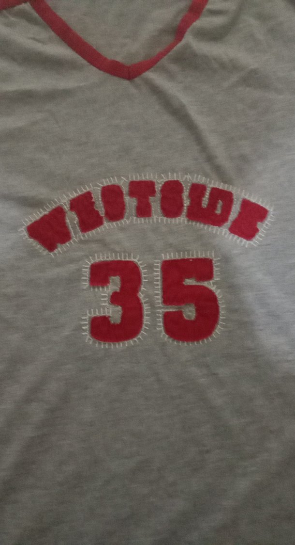 Gri V Yaka Erkek Spor Tişörtü - Görsel 4