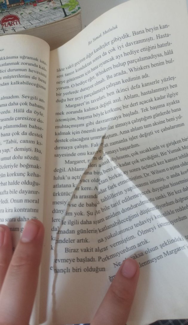 Debbie Macomber'dan 2 Roman - Görsel 5