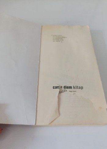 Maya'nın Gölgesi ve Melon Şapkası Romanları - Görsel 3