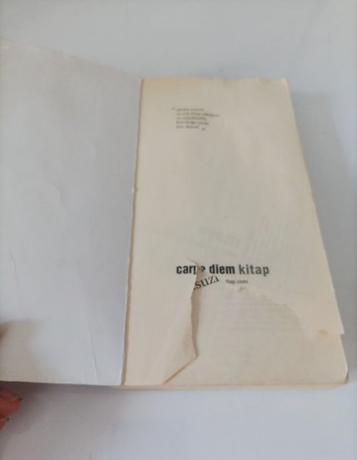 Maya'nın Gölgesi ve Melon Şapkası Romanları - Görsel 3