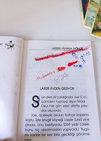 Lassie, Pinokyo, Güzel ve Çirkin, Oz Büyücüsü - Görsel 4