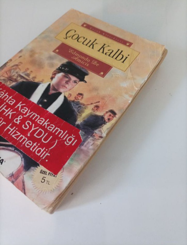 Çocuk Kalbi ve Gizemli Okul Romanı - Görsel 4