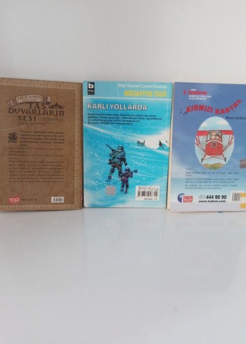 Taş Duvarların Sesi, Karlı Yollarda, Kırmızı Kartal Kitapları - Görsel 2