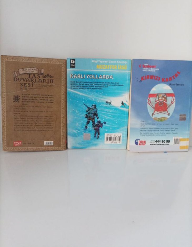 Taş Duvarların Sesi, Karlı Yollarda, Kırmızı Kartal Kitapları - Görsel 2