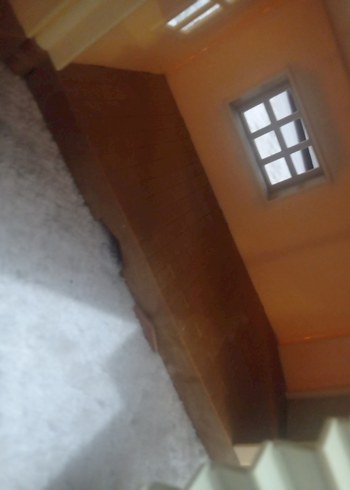 Sylvanian aile evi Pembe Çatılı Oyuncak Ev - Görsel 6