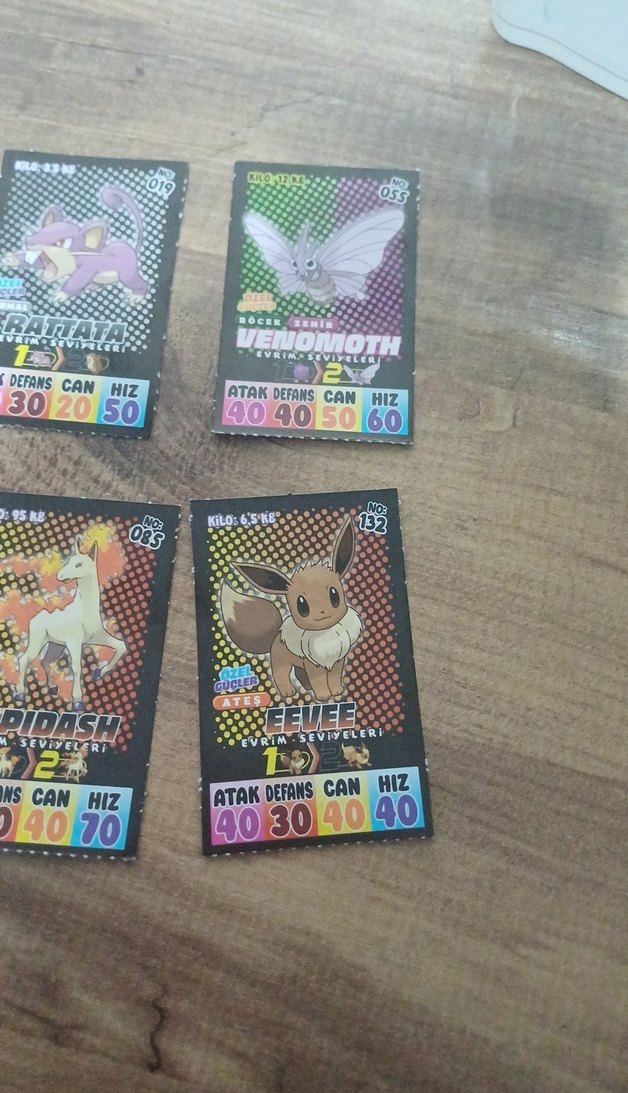 Çok Renkli Kart Oyunu Seti - Görsel 2