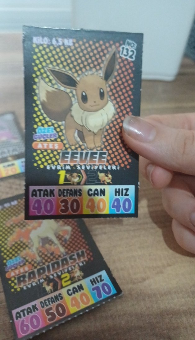 Çok Renkli Kart Oyunu Seti - Görsel 5