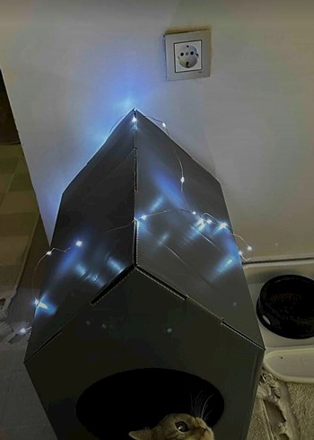 Kedi Evi - Görsel 3