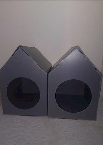 Kedi Evi - Görsel 5