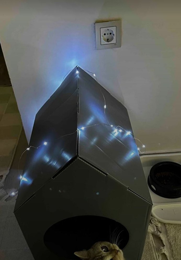 Kedi Evi - Görsel 3