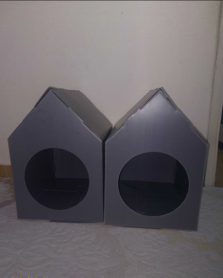 Kedi Evi - Görsel 5