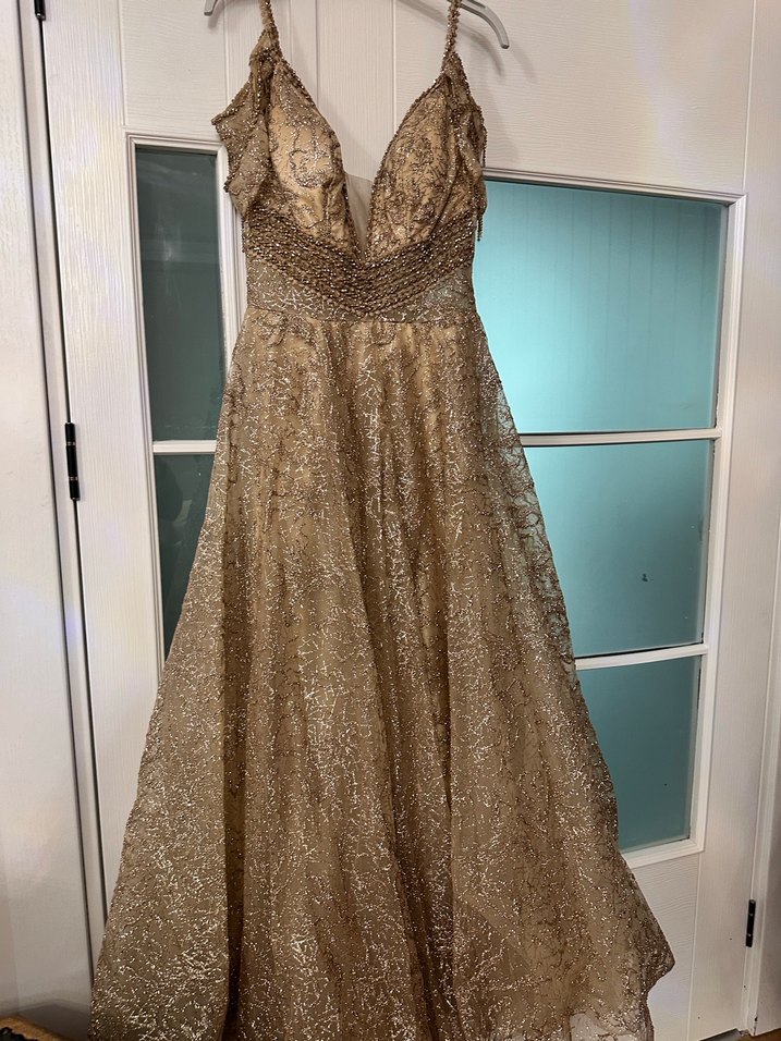 Bej Simli Uzun Abiye Elbise - Görsel 4