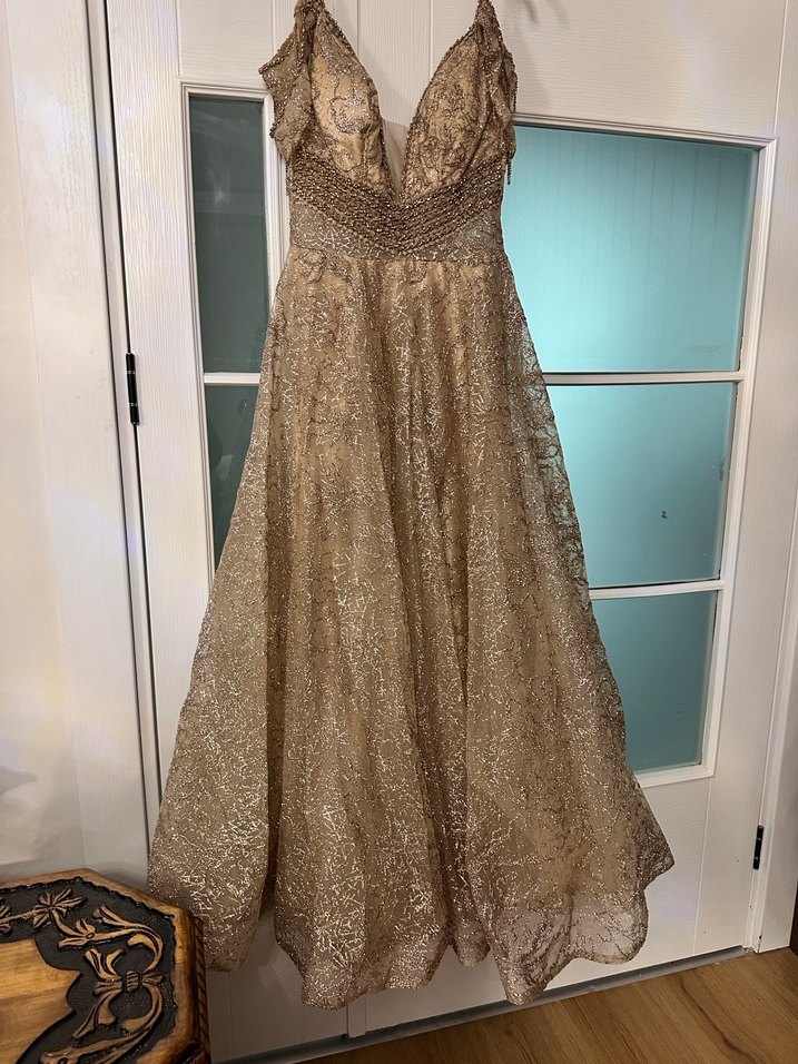 Bej Simli Uzun Abiye Elbise - Görsel 3