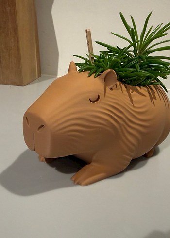 Bej Kapibara Şeklinde Saksı - Görsel 2