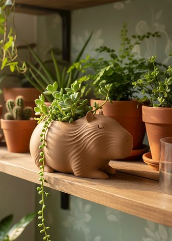 Bej Kapibara Şeklinde Saksı - Görsel 4