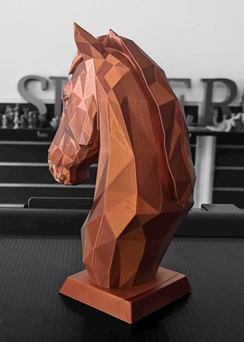 At Figürü - Görsel 3