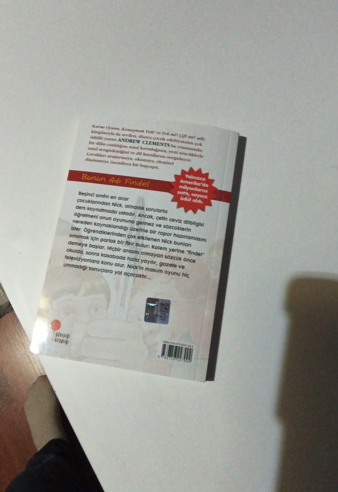 Bunun Adı Findel - Andrew Clements - Görsel 2