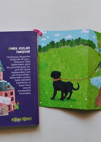 kızlar çetesi kitap seri 
Çocuklar için Eğlenceli Kitap Seti - Görsel 11