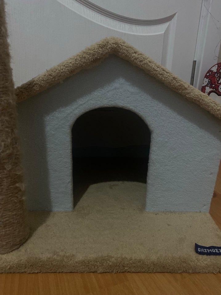 Kedi Evi ve Tırmalama Direği - Görsel 3