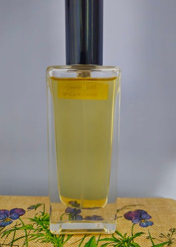 Calvin Klein Obsession muadili kadın parfüm - Görsel 2