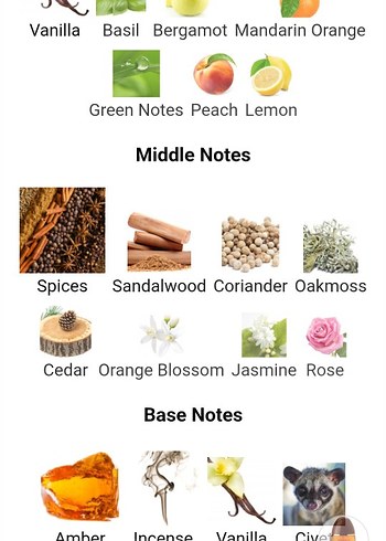 Calvin Klein Obsession muadili kadın parfüm - Görsel 4