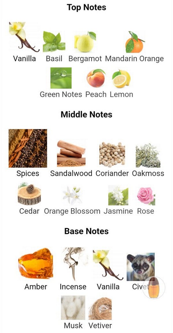 Calvin Klein Obsession muadili kadın parfüm - Görsel 4