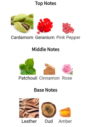 Memo Paris African Leather muadili - Görsel 3