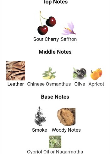 Tom Ford Cherry Smoke muadili - Görsel 3