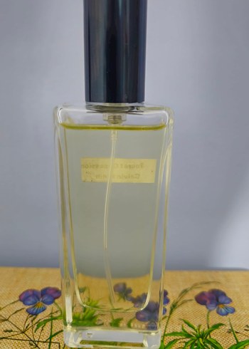 Calvin Klein Secret Obsession Kadın Parfümü - Görsel 2