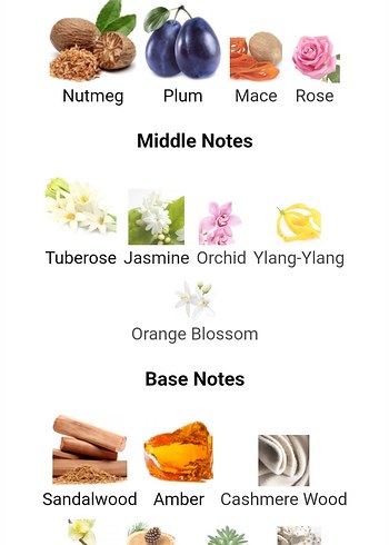 Calvin Klein Secret Obsession Kadın Parfümü - Görsel 4