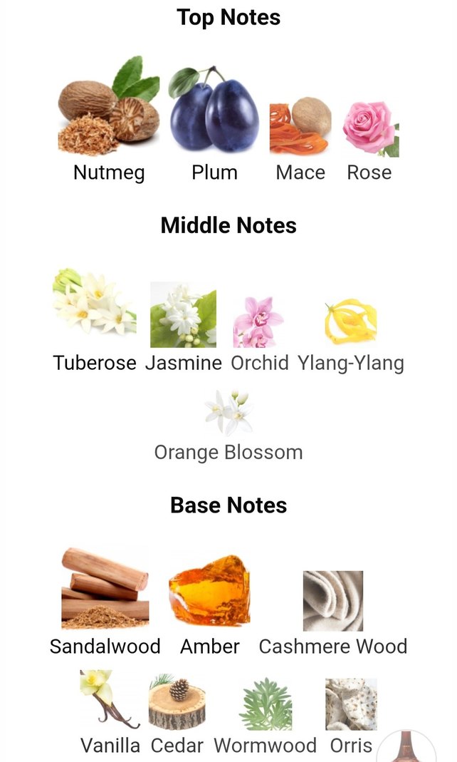 Calvin Klein Secret Obsession Kadın Parfümü - Görsel 4