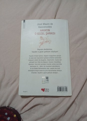Hayatın O Güzel Şarkısı - José Mauro de Vasconcelos - Görsel 2