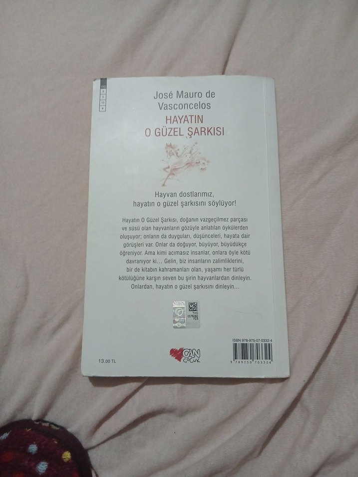 Hayatın O Güzel Şarkısı - José Mauro de Vasconcelos - Görsel 2