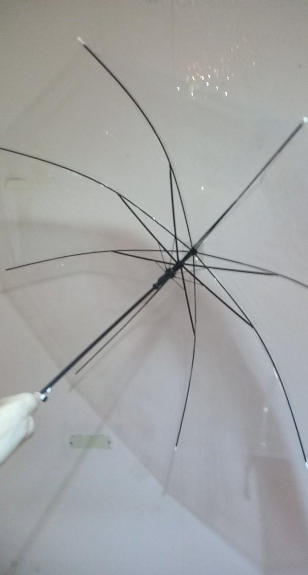 Şeffaf Beyaz Kadın Şemsiye - Görsel 3