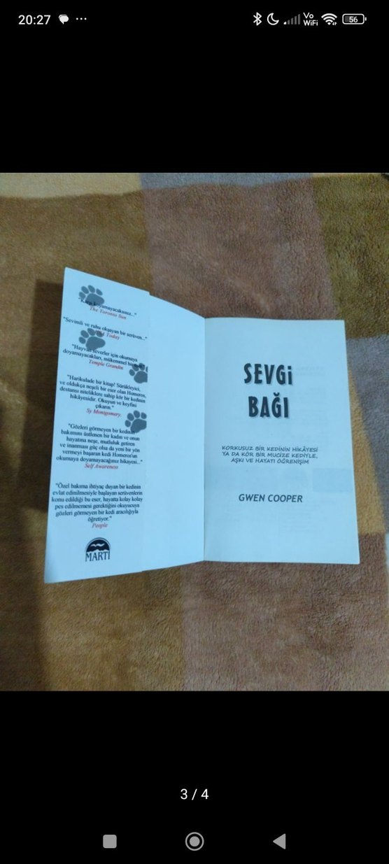 Sevgi Bağı - Sıradışı Bir Kedi Hikayesi - Görsel 3