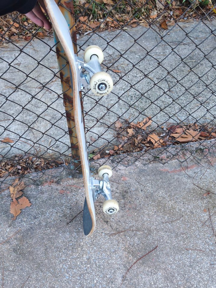 Zoo York Komple Pro Kaykay - Görsel 3