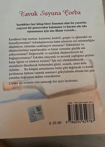 Tavuk Suyuna Çorba - Umudunu Kaybetme - Görsel 2