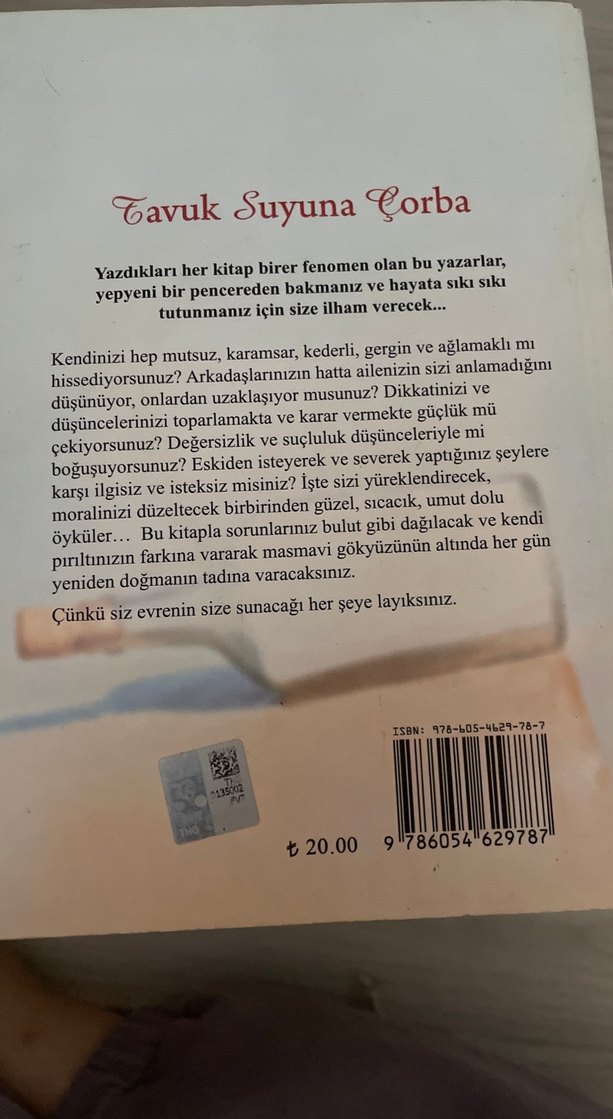 Tavuk Suyuna Çorba - Umudunu Kaybetme - Görsel 2